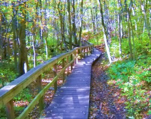 photo by Maria Antonia Diaz