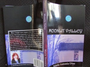moonlit valley spread