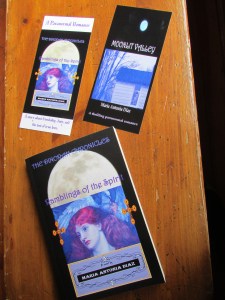 THE DINORAH CHRONICLES - RAMBLINGS OF THE SPIRIT - Book 1