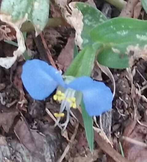 20160925_134923-1-1-1